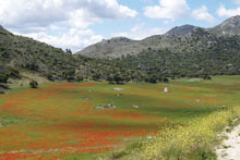 Parque Sierra de Grazalema